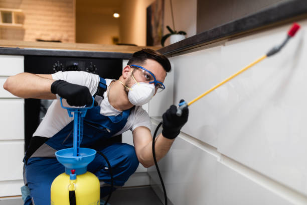 Best Best Pest Control Companies  in Vley Grande, AL