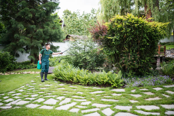 Best Pest Removal Services  in Vley Grande, AL