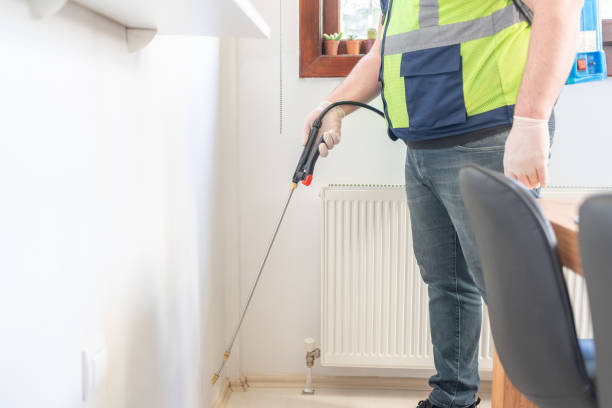 Best Local Pest Control Services  in Vley Grande, AL